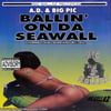 AD & Big Pic - Ballin On Da Seawall