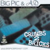 AD & Big Pic - Crumbs To Bricks