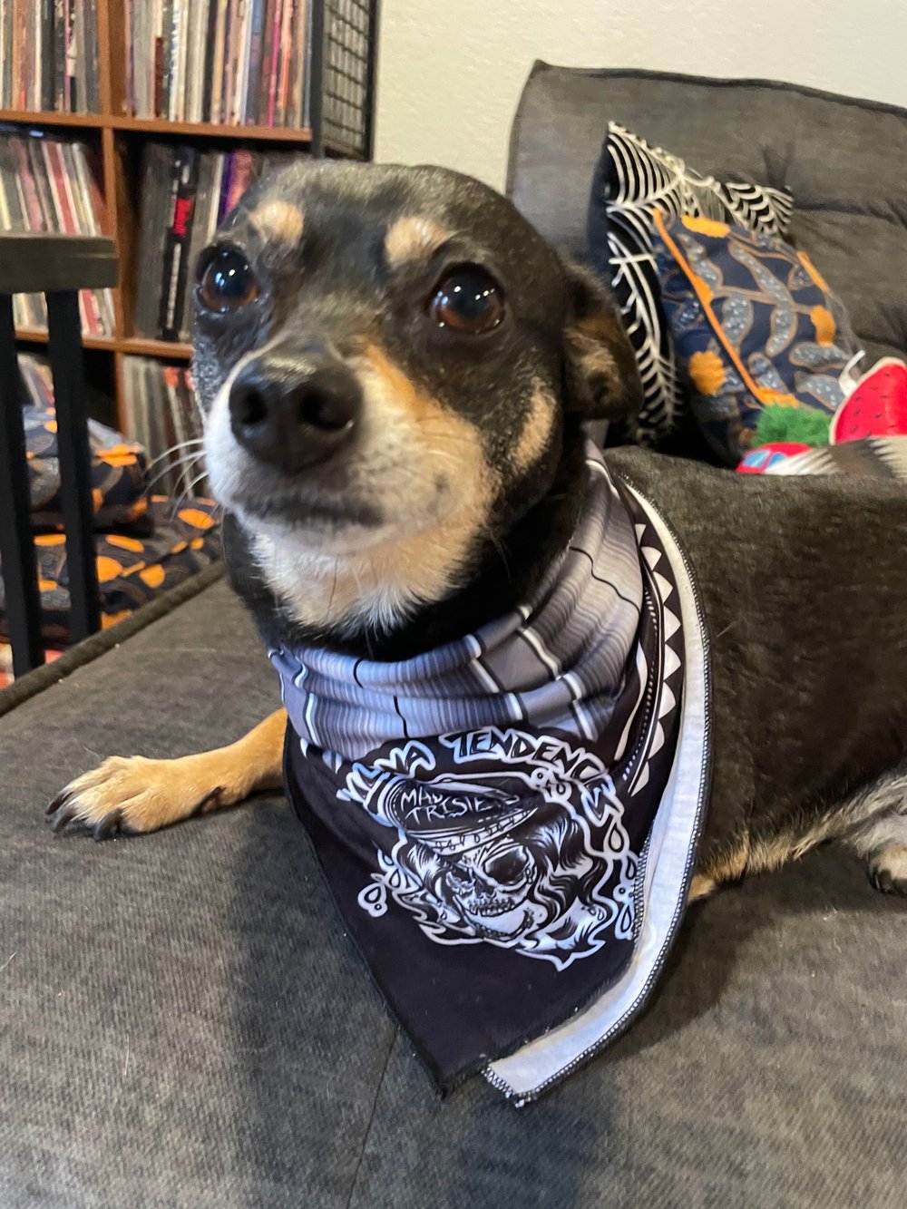 Chillona Tendencies Bandana