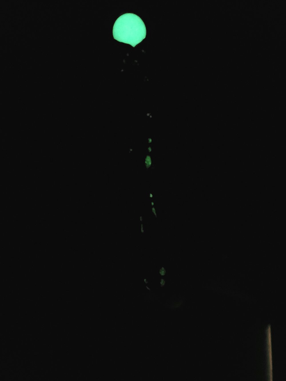 Glowing Mushie Wand B
