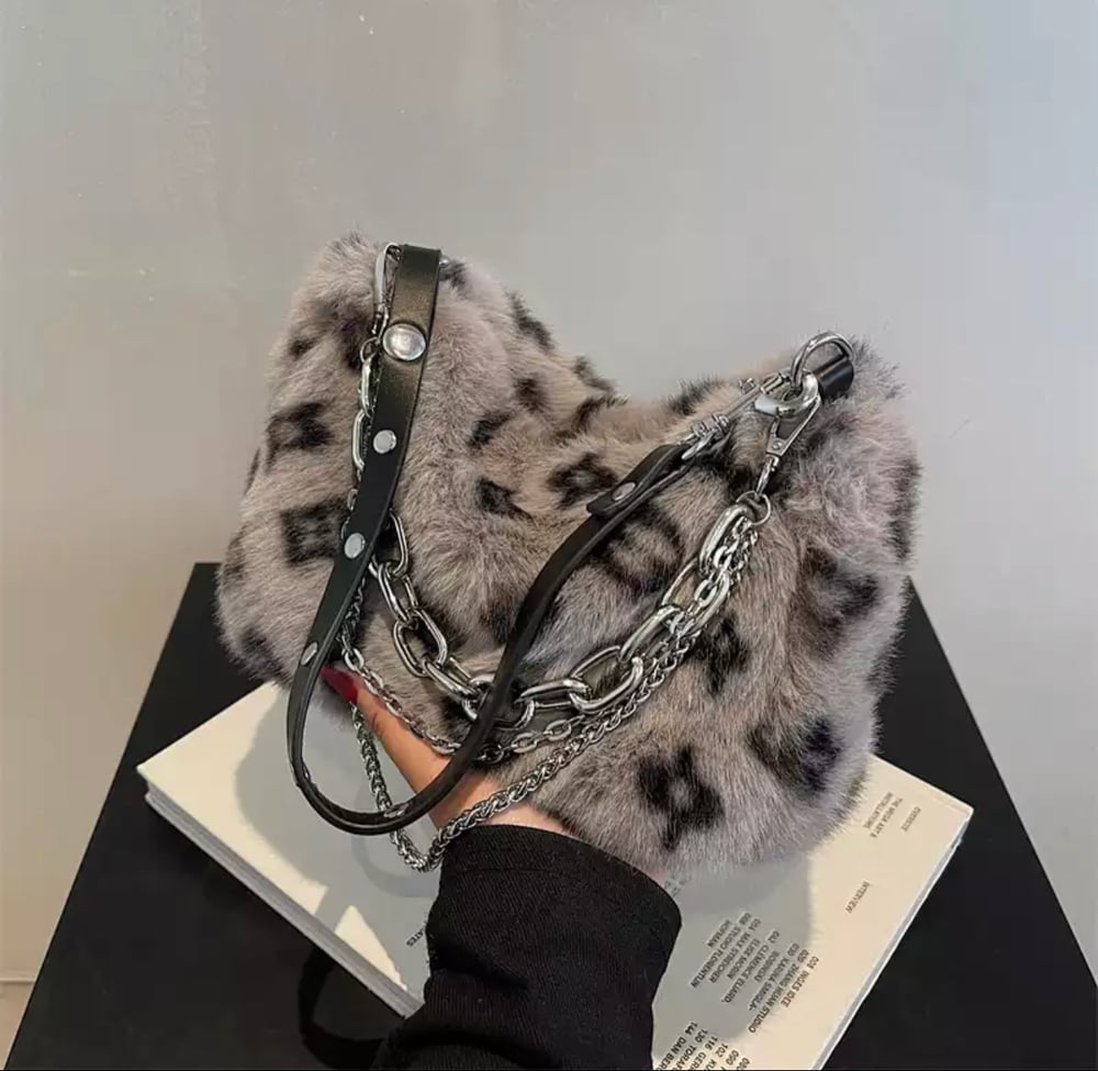 LV Purse