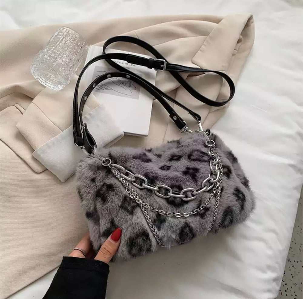 LV Purse