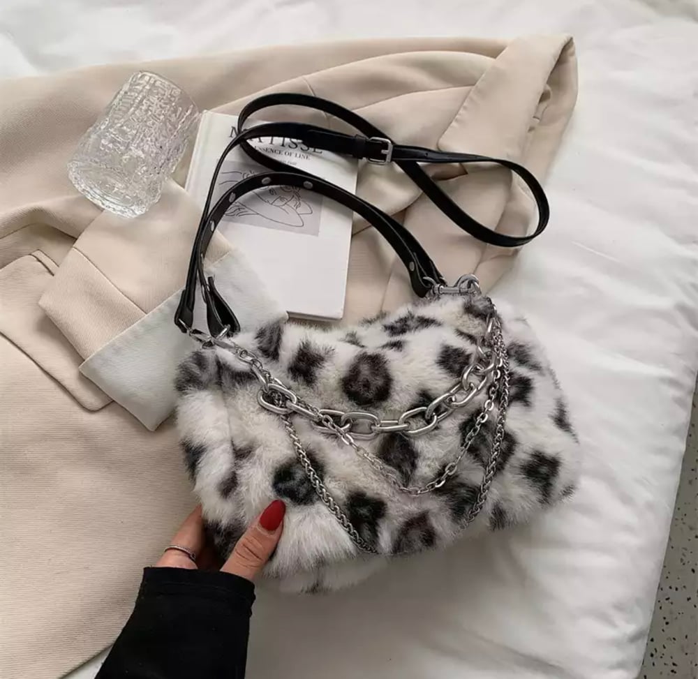 LV Purse