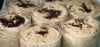 Coconut Coffee Body Scrub