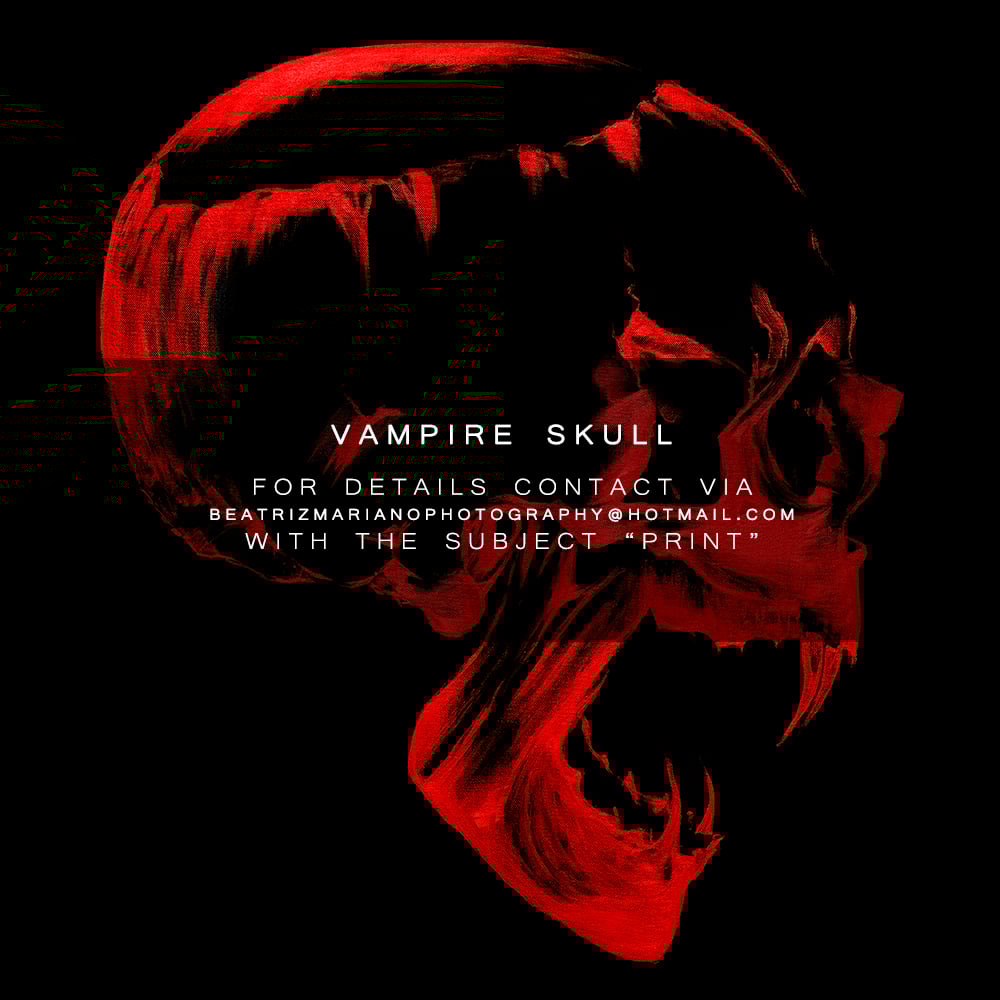 Image of VAMPIRE SKULL [2nd EDITION]