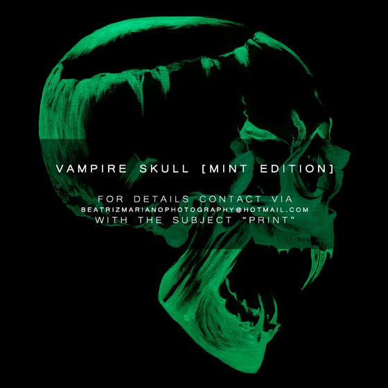 Image of VAMPIRE SKULL [MINT Edition]
