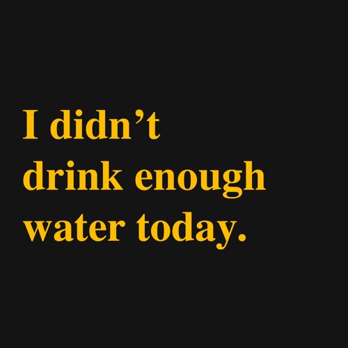 Image of 'I didn't drink enough water today.' Embroidered black tshirt