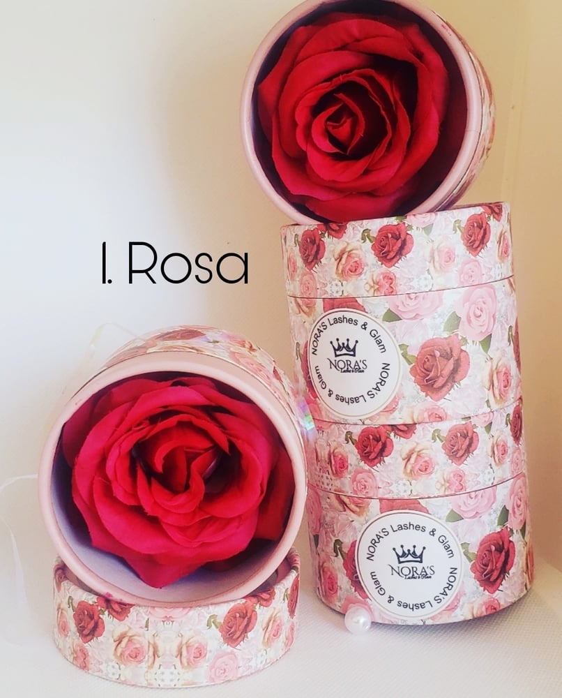 RUBOR DE FLOR/Rose 3D Blush | Noraslashes
