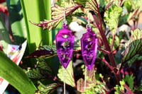 Image 2 of Haurchefant / Fortempts Shield Purple Mirror Earrings