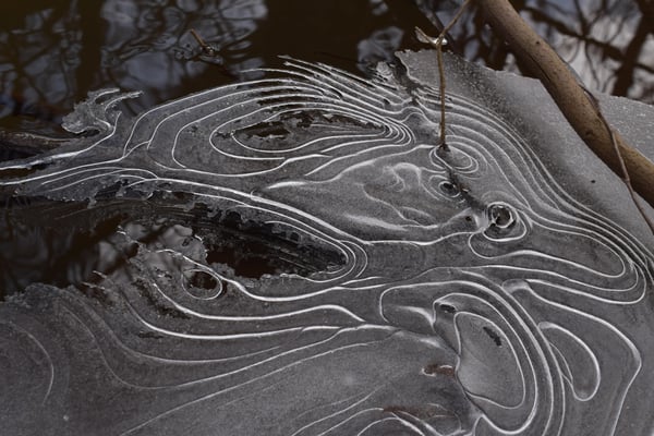 Image of Ice Patterns on the Creek