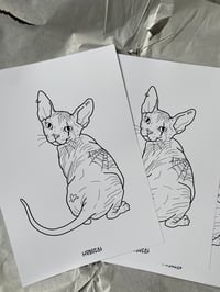 Image 1 of SPHYNX CAT PRINT