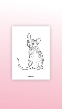 Image 3 of SPHYNX CAT PRINT