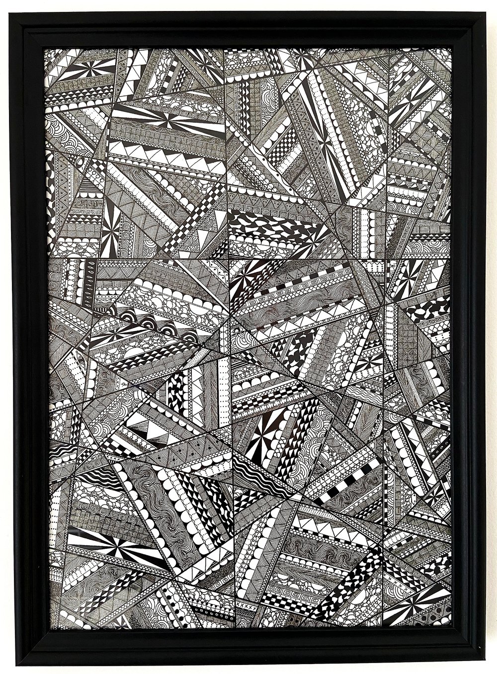 Image of Arachnida