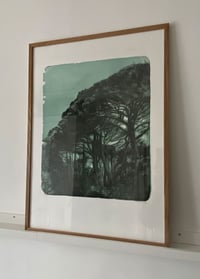 Image 3 of Beyond the pines