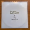STORM038 - Pet Symmetry - The Pet Sym Power Hour Official Theme Song - Flexi 7"