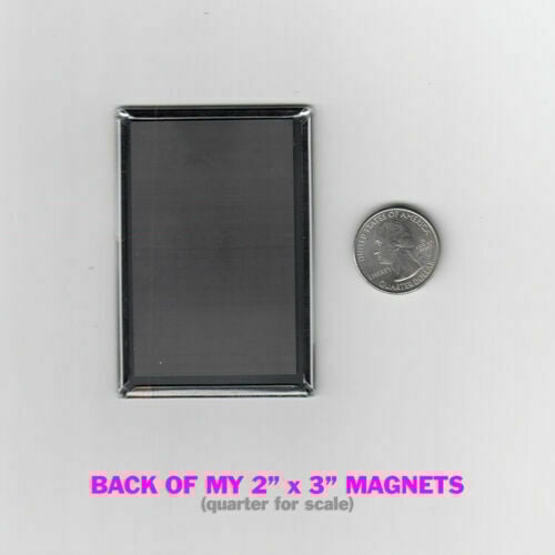 Image of Witch - Stevie Nicks  / Magnet