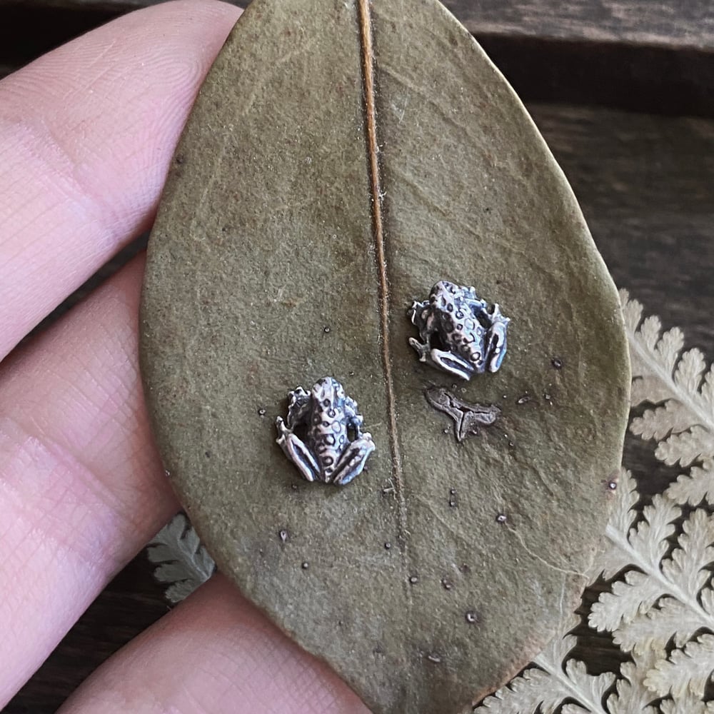 Image of Little Frog Studs