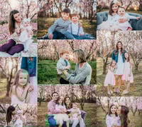 Image 3 of 3/8 Spring Peach Blossom Sessions