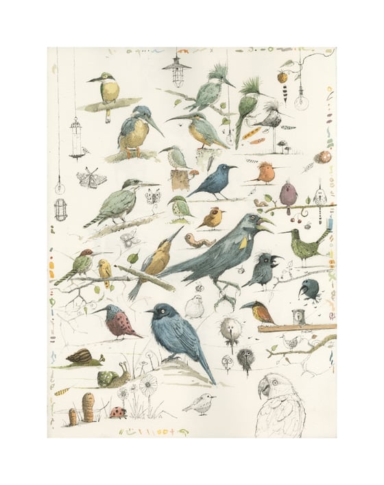 Image of Bird Studies