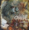 Cannibe / Cerebral Crusher Split CD