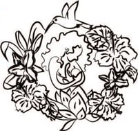 Womens Herbal Yoni Steam