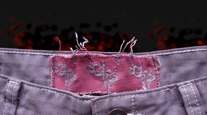 Image of HUNDRED DOLLAR PANTS 2