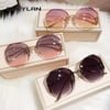 Trendy Curved Sunglasses