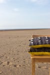 Shoreline Cushion