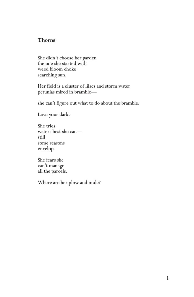 Image of The Stars With You by Stefani Cox