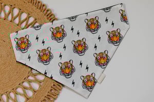 Image of Earn Your Stripes