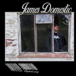Image of JAMES DOMESTIC 'CARRION REPEATING' LP 