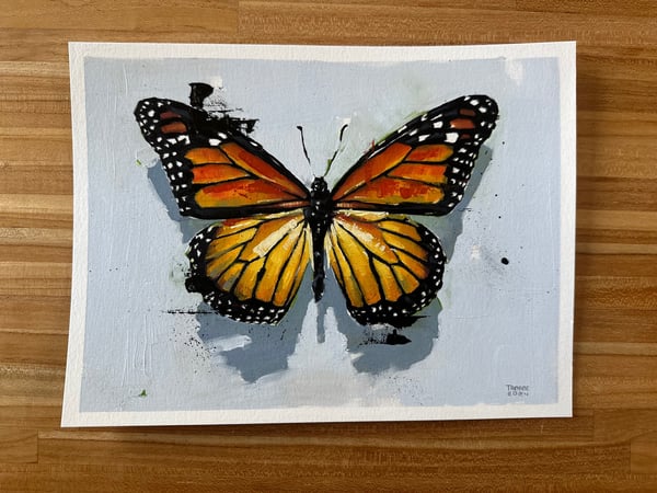 Image of Butterfly (Monarch) 