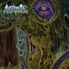 AMORBITAL - Invidia