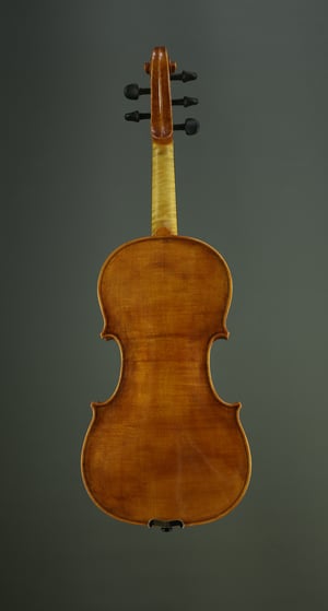 Image of 5 saitige Violine