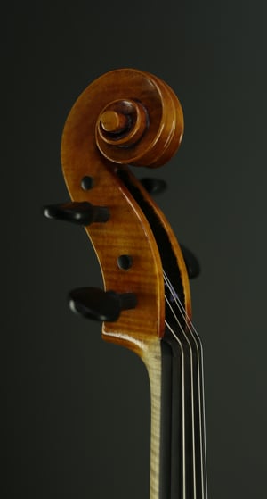 Image of Viola 38,0 cm