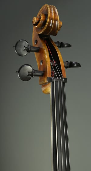 Image of Cello R. Florek 2009