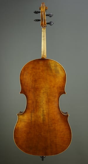 Image of Cello R. Florek 2009