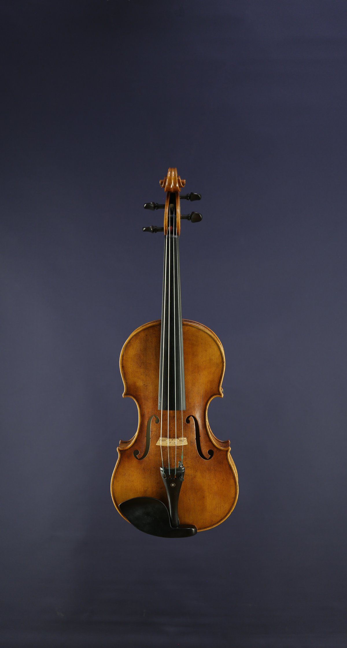 Image of Viola 38,0