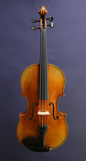 Image of Viola 39,5 cm