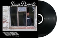 Image 4 of JAMES DOMESTIC 'CARRION REPEATING' LP 