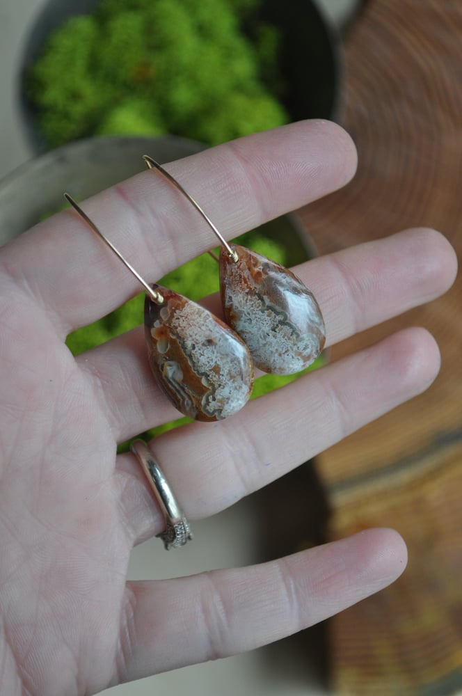 Image of OOAK Crazy Lace Agate Teardrop Dangles