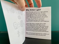 Image 2 of Switch to Amber Light Zine