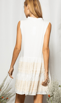 Image 2 of EMBROIDERED MINI DRESS