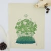 Wood Sorrel