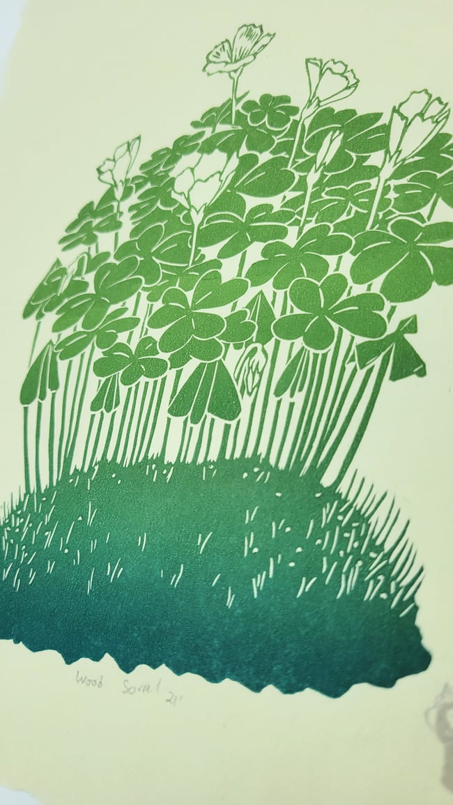 Wood Sorrel