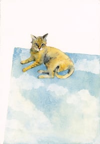 Image 4 of COMMISSION A STUDY of a Creature of your Affection (PET PORTRAIT)