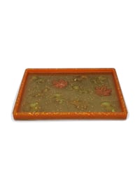 Image 2 of Autumn Fossilized Golden Dinosaur Tray