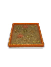 Image 3 of Autumn Fossilized Golden Dinosaur Tray