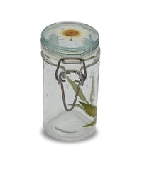 Image 2 of Baby Jane Stash Jar