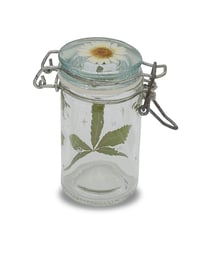 Image 3 of Baby Jane Stash Jar